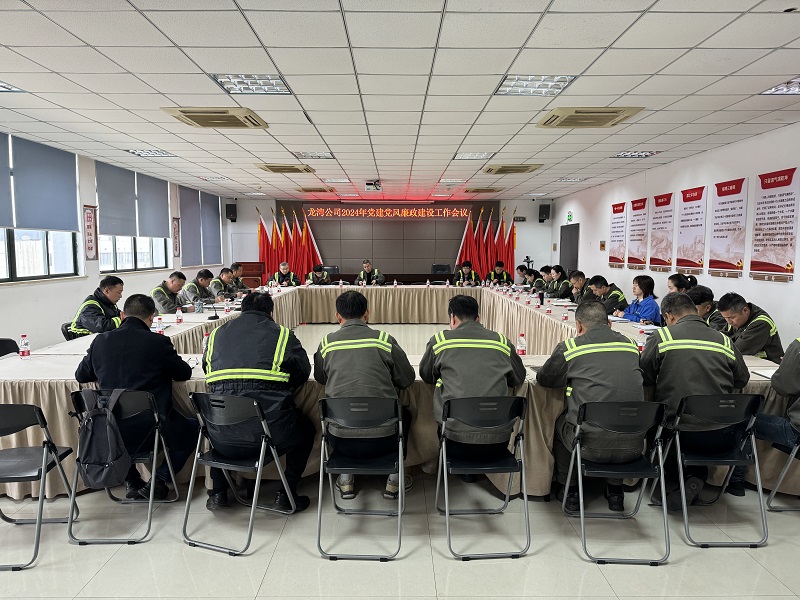 龙湾公司召开2024年党建党风廉洁建设工作会议