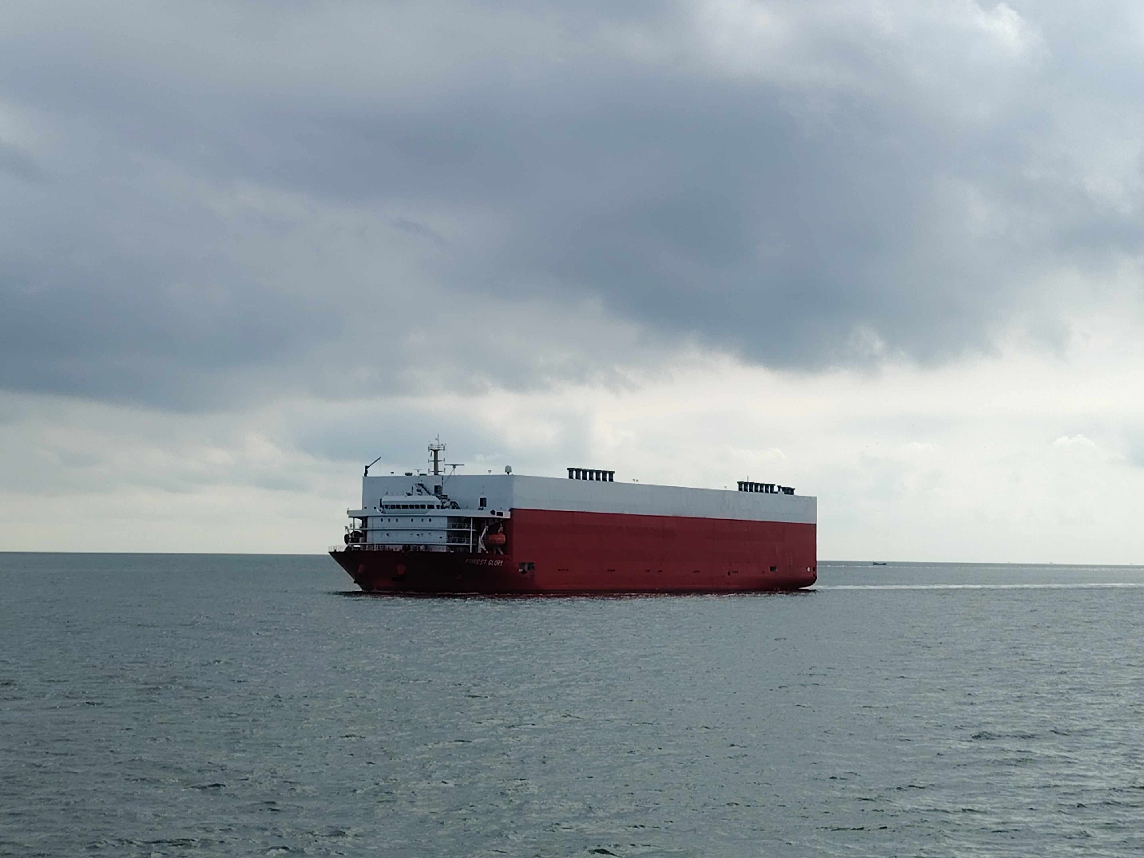 温州港引航站高效引航“森林荣耀”轮助力汽车出口中东地区