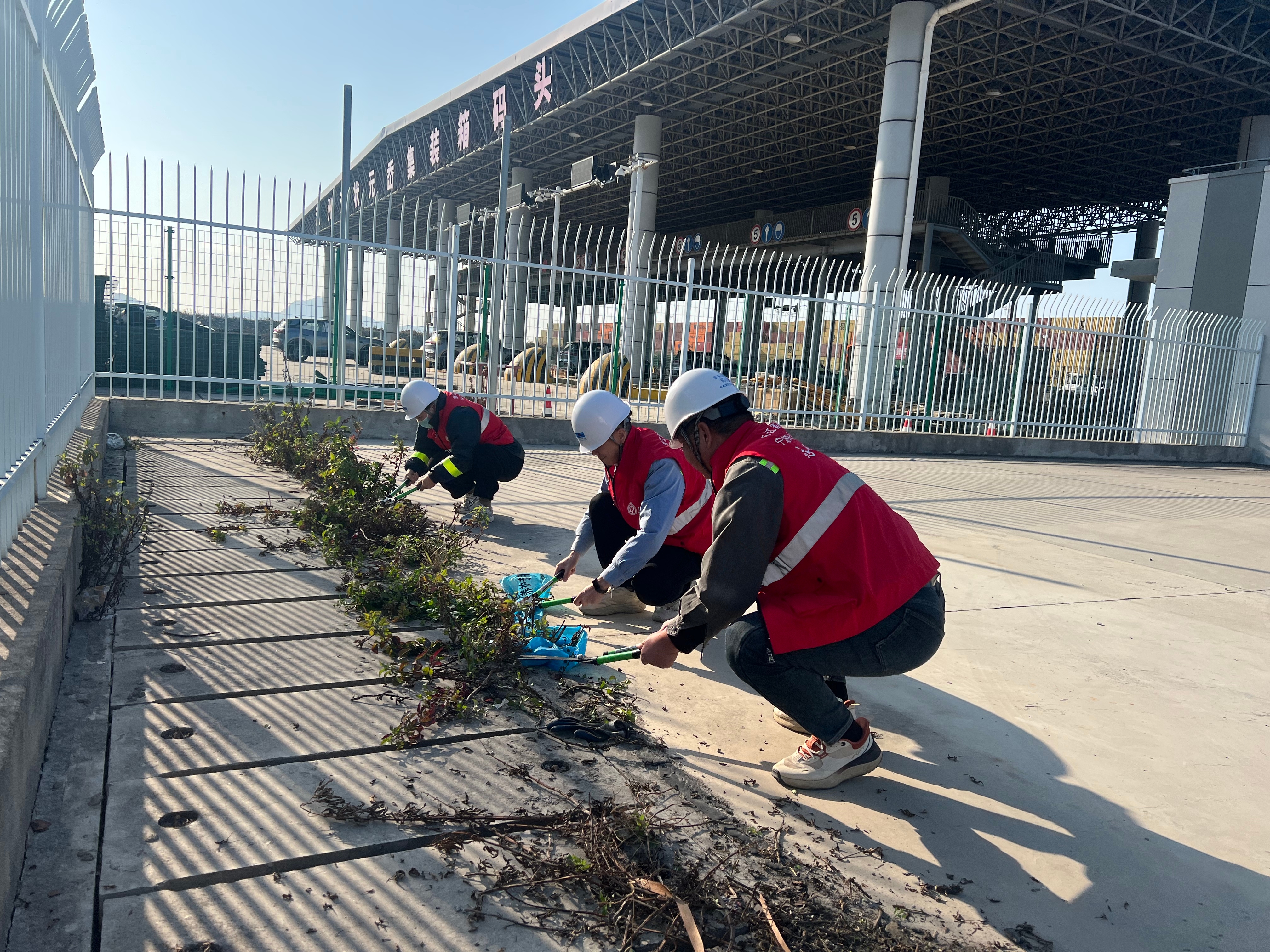 状元岙公司常态化推进环境卫生提升行动 党员志愿服务扮靓冬日港区