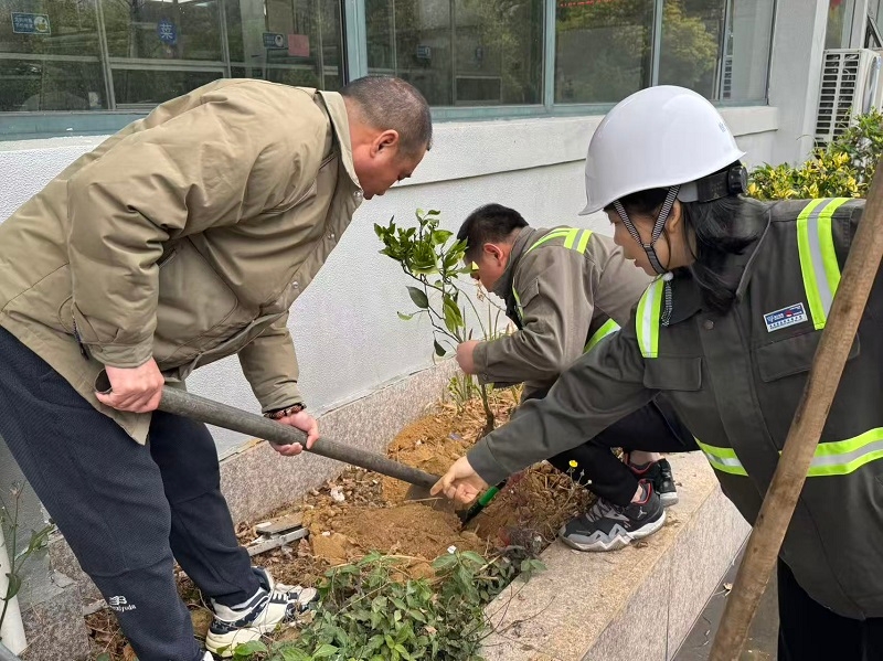 龙湾公司开展植树暨港区垃圾清理志愿活动