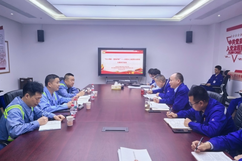 红心领航·蓝焰护航——港服公司与温州LNG公司开展党建共建活动